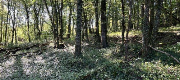 Terreno en Brive-la-Gaillarde, France 14696 m² No. 97259 4