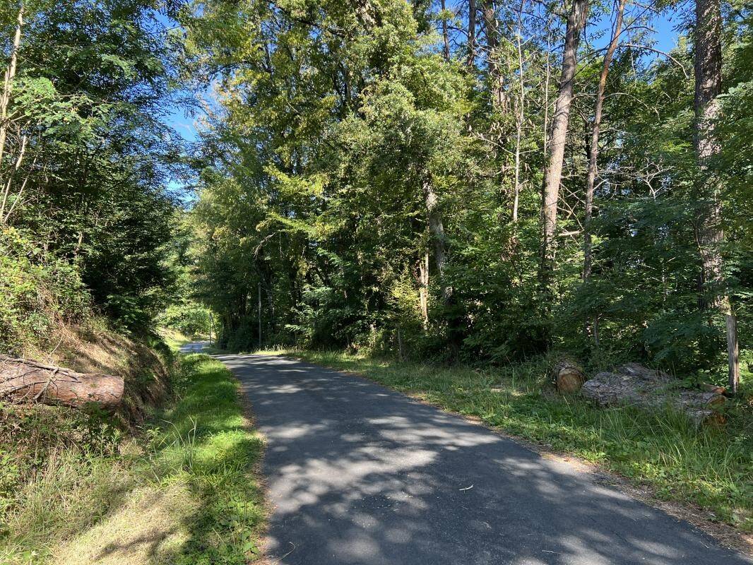 Terreno en Brive-la-Gaillarde, France 14696 m² No. 97259