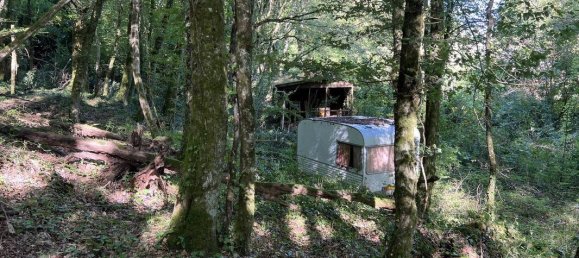 Terreno en Brive-la-Gaillarde, France 14696 m² No. 97259 3