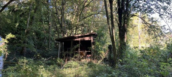 Terreno en Brive-la-Gaillarde, France 14696 m² No. 97259 5