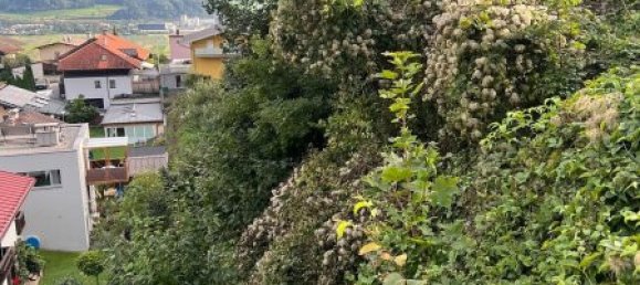  Land in Thaur, Austria No. 97332 2