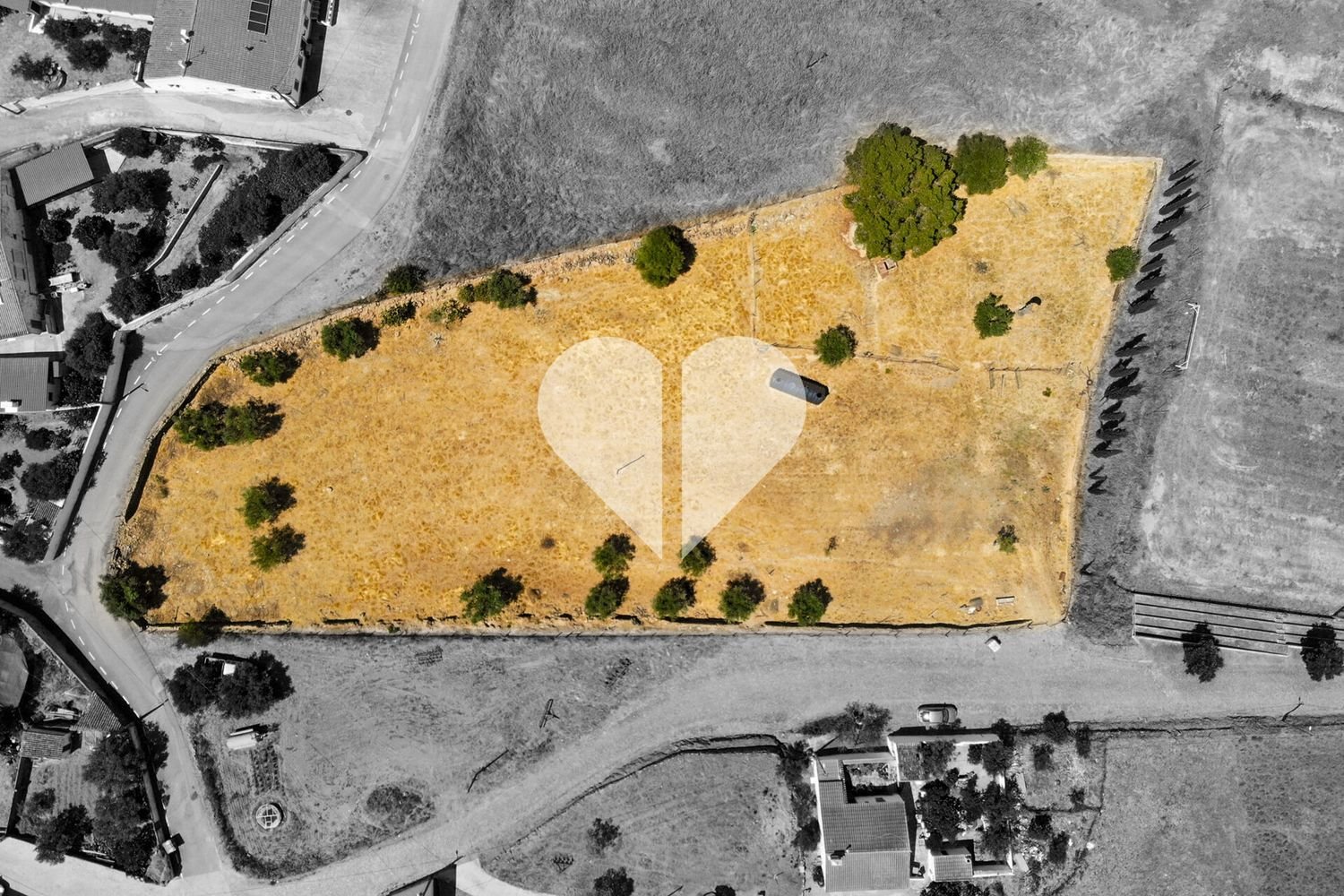  Land in Alcaria Ruiva, Portugal No. 265008