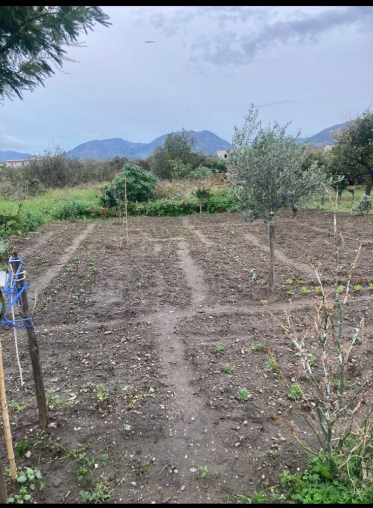 Terrain à Reggio Calabria, Italy 850m² No. 35827