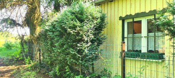 Studio in Ostprignitz-Ruppin, Germany, Nr. 233731 2