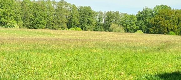 Studio in Ostprignitz-Ruppin, Germany, Nr. 233731 15