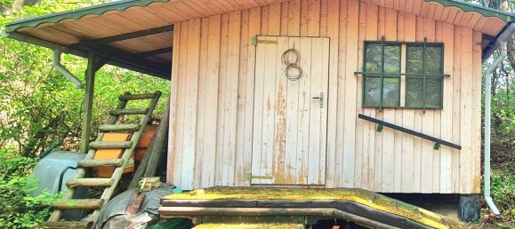 Studio in Ostprignitz-Ruppin, Germany, Nr. 233731 8