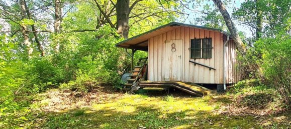 Studio in Ostprignitz-Ruppin, Germany, Nr. 233731 9