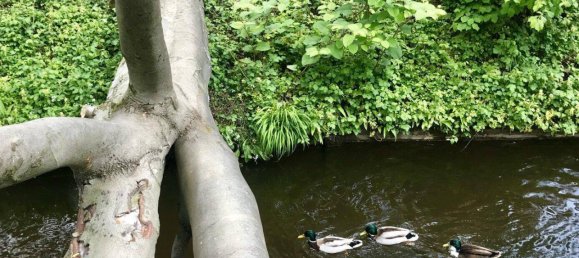 Ático de 4 habitaciónes en Salzburg, Austria No. 131730 14