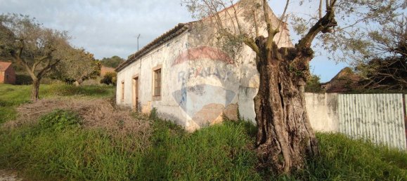 3 Schlafzimmer Haus in Rio Maior, Portugal, Nr. 185631 17