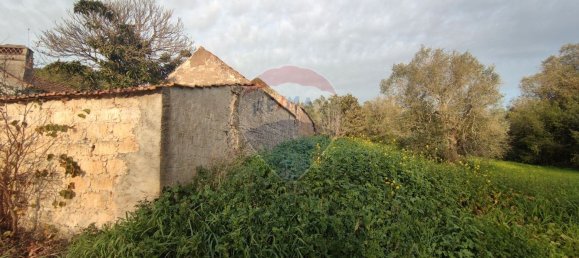 3 Schlafzimmer Haus in Rio Maior, Portugal, Nr. 185631 7