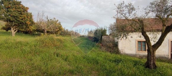 3 Schlafzimmer Haus in Rio Maior, Portugal, Nr. 185631 2