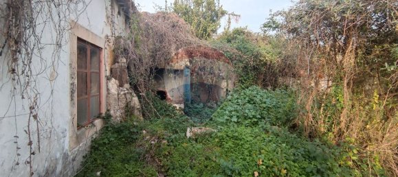 3 Schlafzimmer Haus in Rio Maior, Portugal, Nr. 185631 14