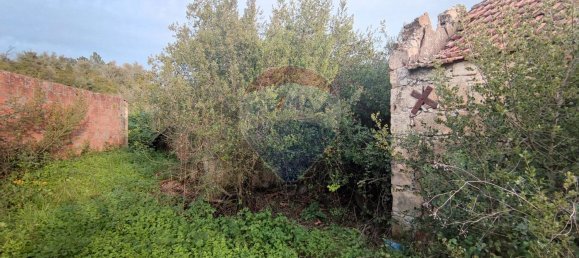 3 Schlafzimmer Haus in Rio Maior, Portugal, Nr. 185631 11