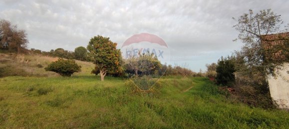 3 Schlafzimmer Haus in Rio Maior, Portugal, Nr. 185631 3