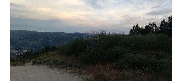 63800m² Land in Baiao, Portugal No. 60383 3