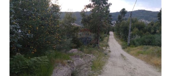 63800m² Land in Baiao, Portugal No. 60383 17