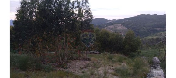 63800m² Land in Baiao, Portugal No. 60383 7