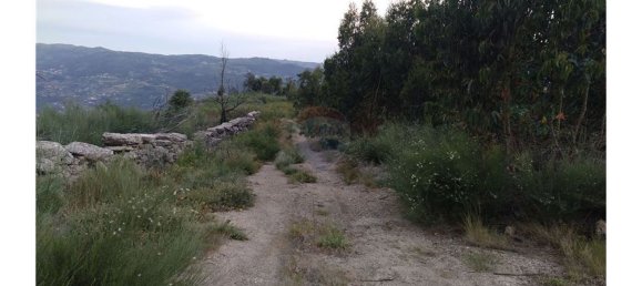 63800m² Land in Baiao, Portugal No. 60383 4