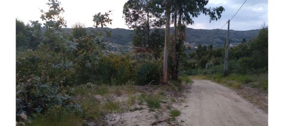 63800m² Land in Baiao, Portugal No. 60383 15