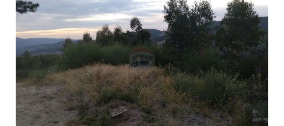 63800m² Land in Baiao, Portugal No. 60383 11