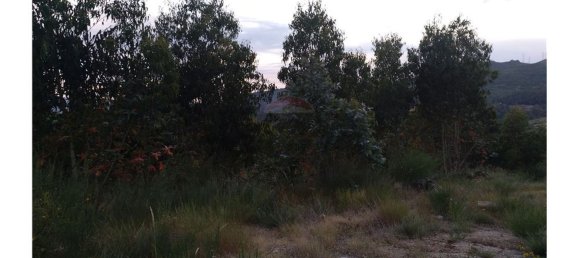 63800m² Land in Baiao, Portugal No. 60383 6