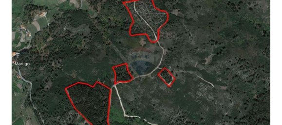 63800m² Land in Baiao, Portugal No. 60383 24