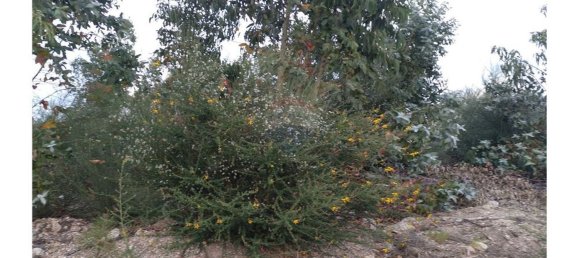 63800m² Land in Baiao, Portugal No. 60383 9