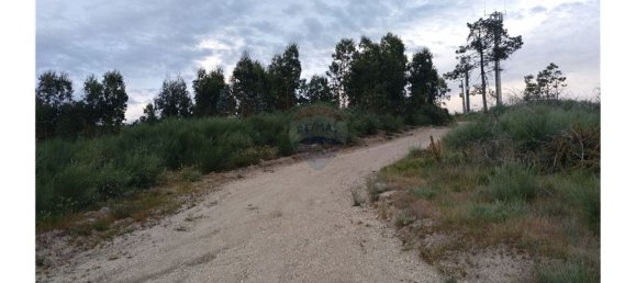 63800m² Land in Baiao, Portugal No. 60383 2