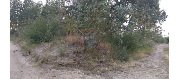 63800m² Land in Baiao, Portugal No. 60383 23