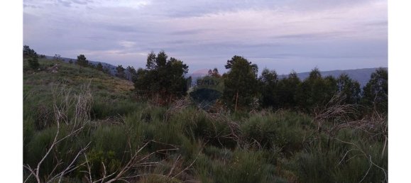 63800m² Land in Baiao, Portugal No. 60383 13