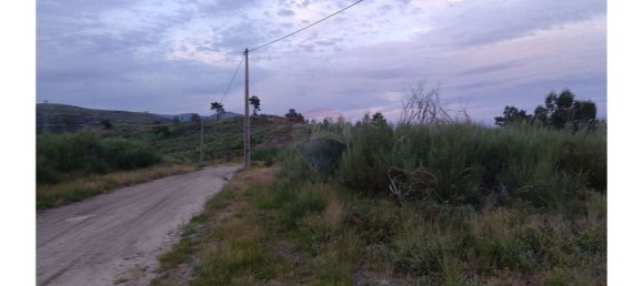 63800m² Land in Baiao, Portugal No. 60383 12