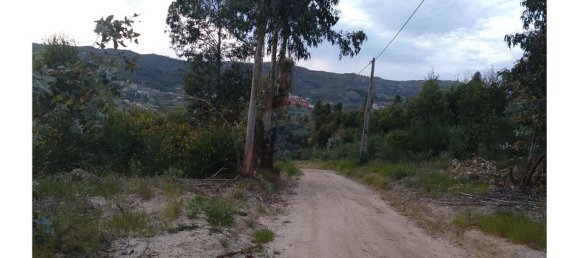 63800m² Land in Baiao, Portugal No. 60383 16