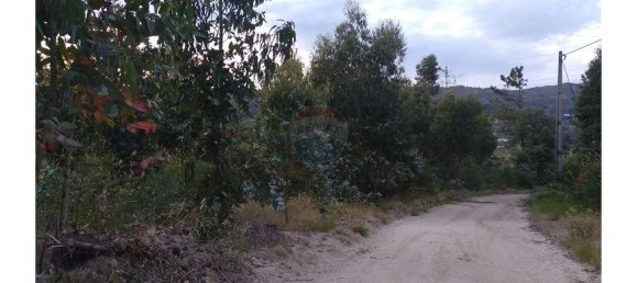 63800m² Land in Baiao, Portugal No. 60383 21