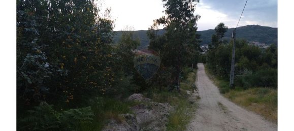 63800m² Land in Baiao, Portugal No. 60383 19