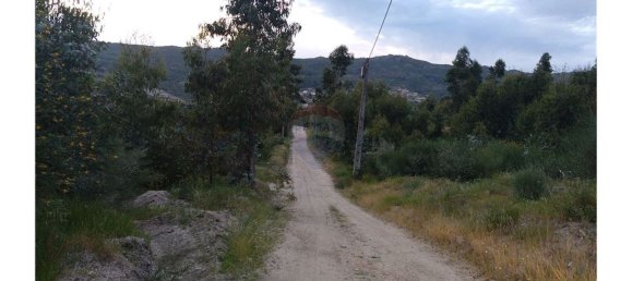 63800m² Land in Baiao, Portugal No. 60383 20