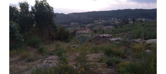 63800m² Land in Baiao, Portugal No. 60383 5