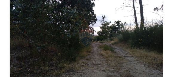 63800m² Land in Baiao, Portugal No. 60383 22