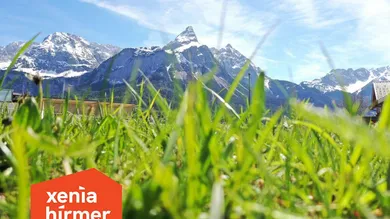 Земельный участок 493м² в Эрвальд, Австрия № 98789