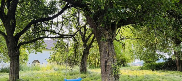 Коммерческая недвижимость 669м² в Петтенбах, Австрия № 127921 15