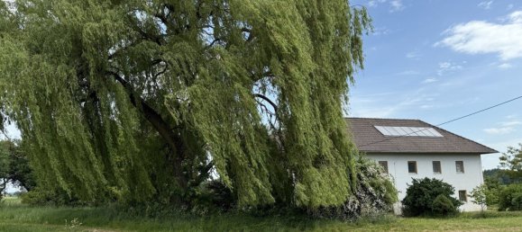 Коммерческая недвижимость 669м² в Петтенбах, Австрия № 127921 6