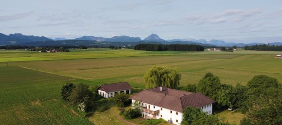 Коммерческая недвижимость 669м² в Петтенбах, Австрия № 127921 17