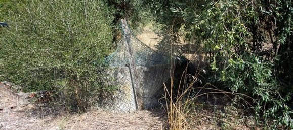 Casa T4 em Chamusca, Portugal N.º 186171 10