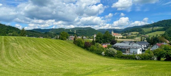 Земельный участок 984м² в Вальдхаузен им Штруденгау, Австрия № 95428 4