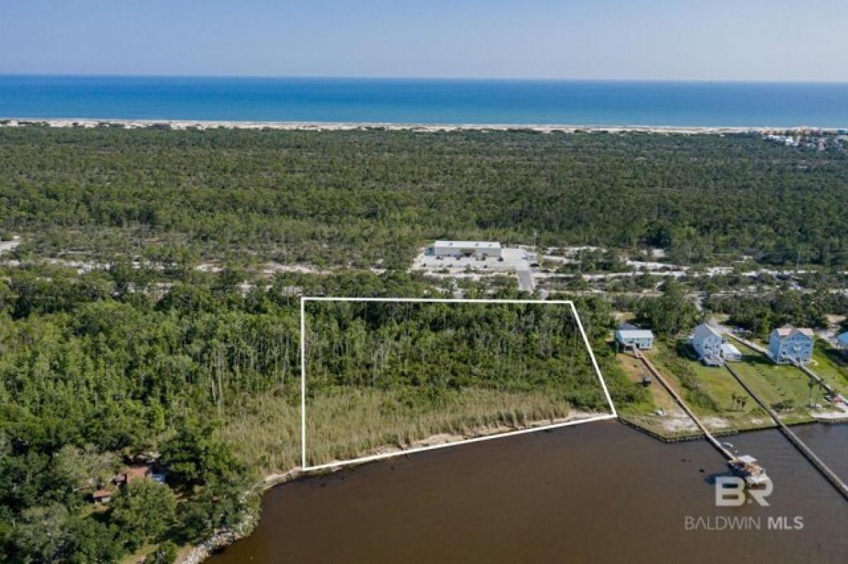  Land in Gulf Shores, USA No. 524697