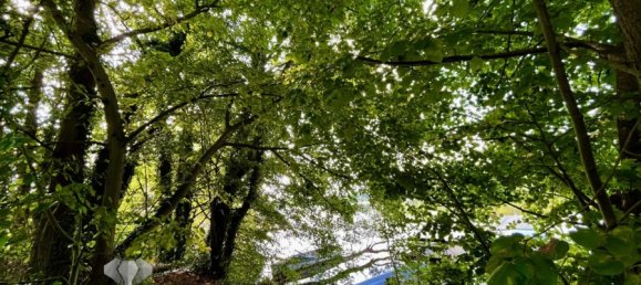 Grundstück in Dahme-Spreewald, Germany, Nr. 45151 22