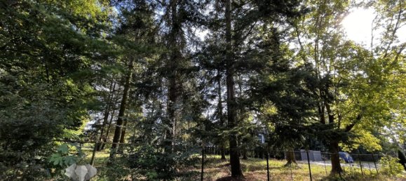 Grundstück in Dahme-Spreewald, Germany, Nr. 45151 20