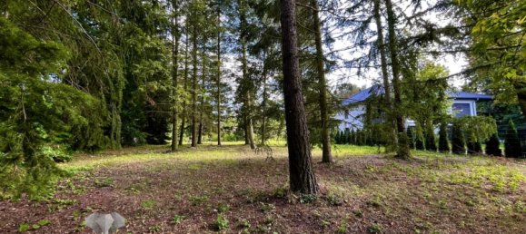 Grundstück in Dahme-Spreewald, Germany, Nr. 45151 16