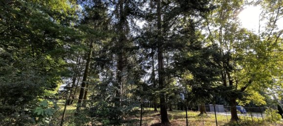 Grundstück in Dahme-Spreewald, Germany, Nr. 45151 8