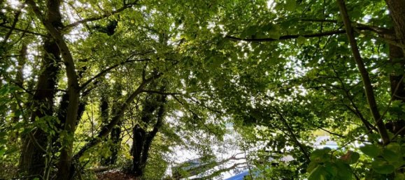 Grundstück in Dahme-Spreewald, Germany, Nr. 45151 10