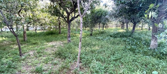 4 rooms Villa in Floridia, Italy No. 89190 12